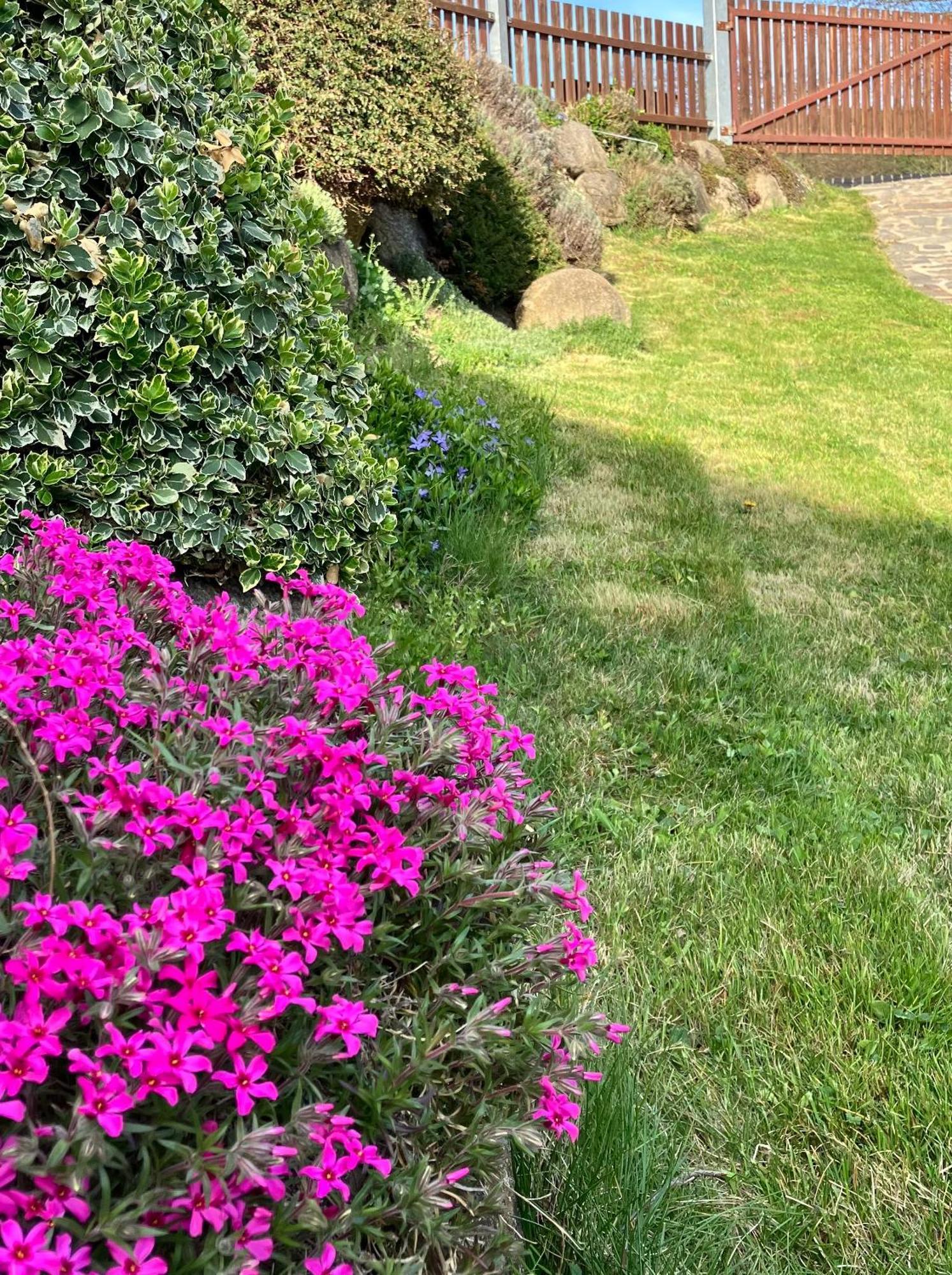 Mlyn Kamenice Klucenice Dış mekan fotoğraf